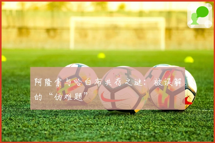 阿隆索与哈白布共存之谜：被误解的“伪难题”