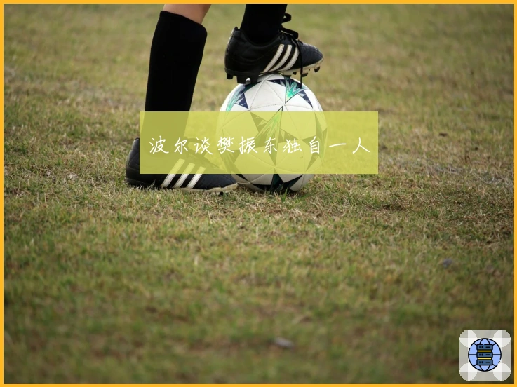 波尔谈樊振东独自一人