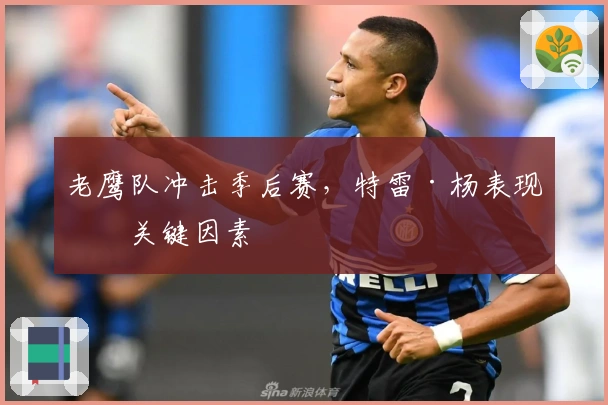 老鹰队冲击季后赛，特雷·杨表现成关键因素