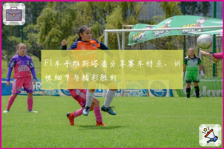 F1车手维斯塔潘分享赛车特点、训练细节与精彩胜利