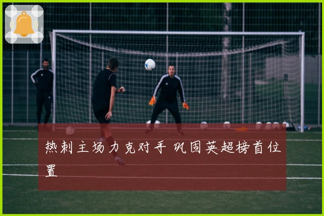 热刺主场力克对手 巩固英超榜首位置